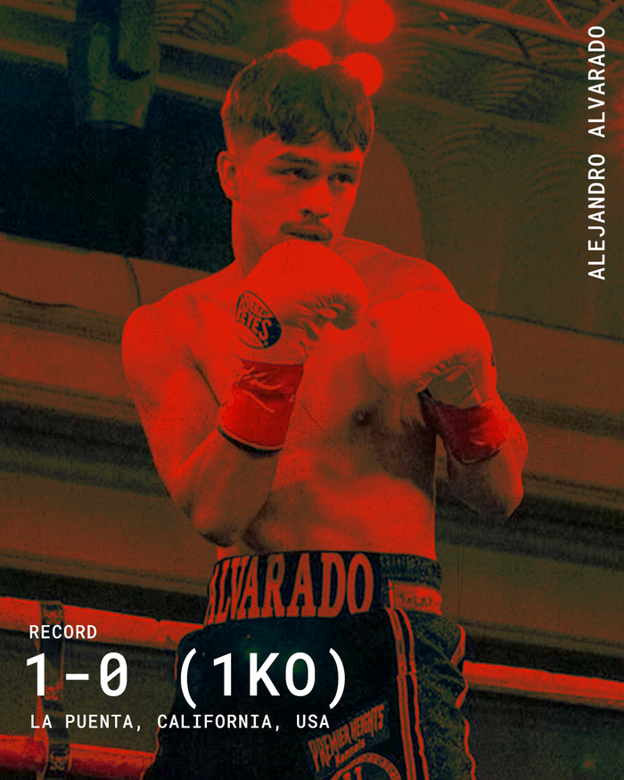 BOXFEST XVI