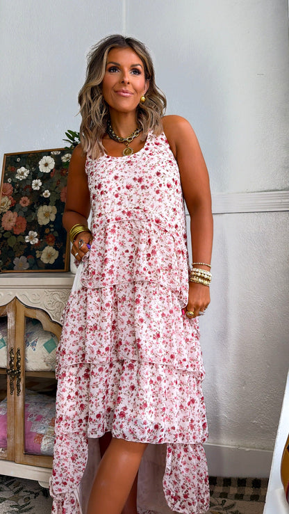 Honeylace Midi Dress, Blush Multi