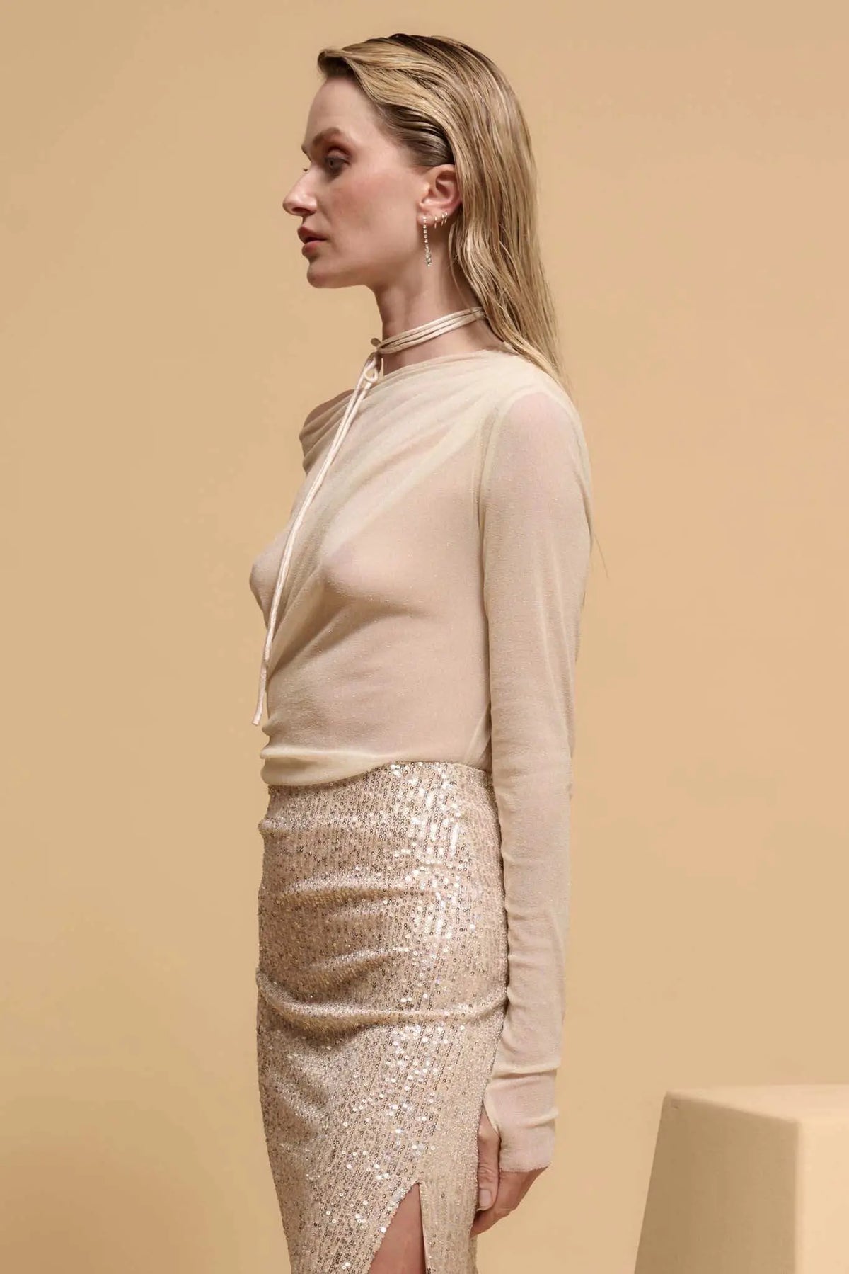 Astral Beauty Sheer Glitter Mesh Bodysuit