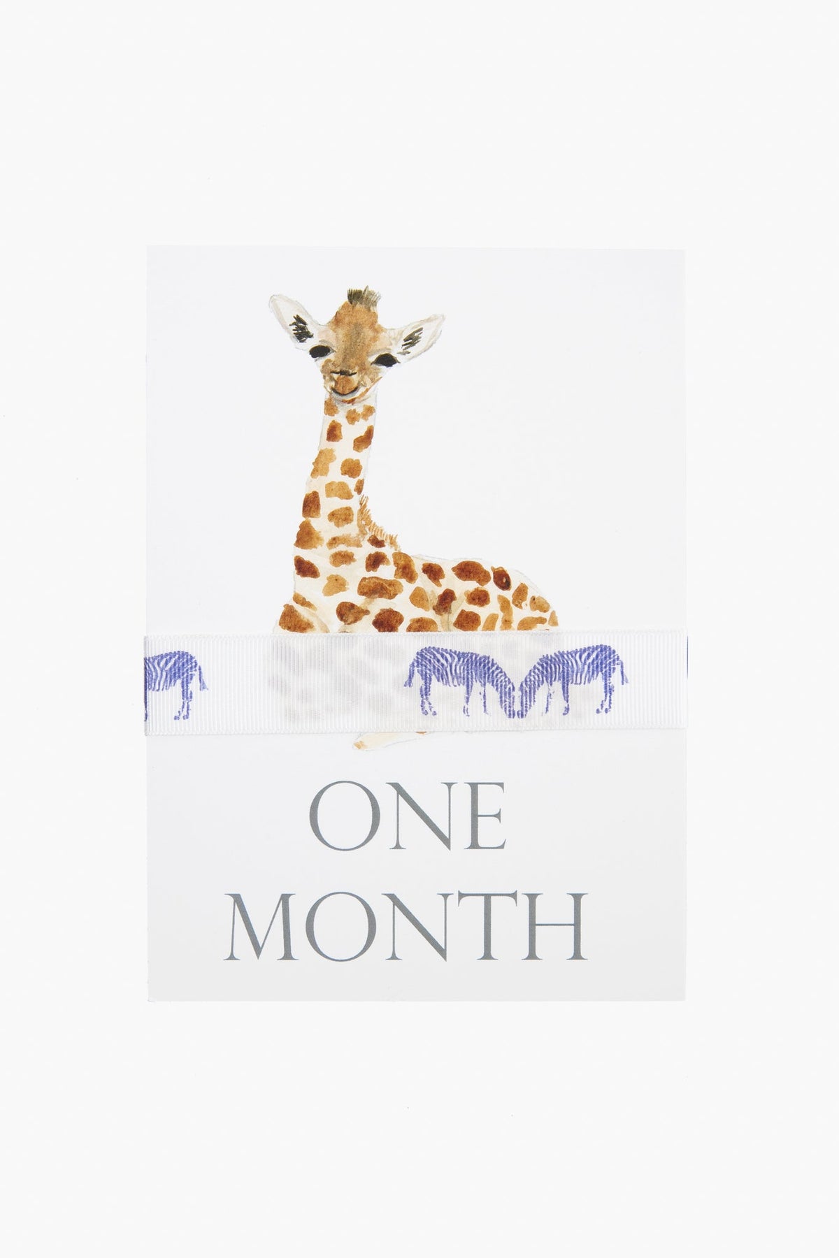 Baby Month Cards