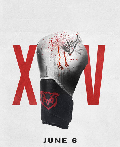 BOXFEST XV